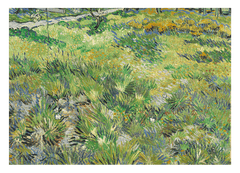 Vincent van Gogh - Hohes Gras mit Schmetterlingen