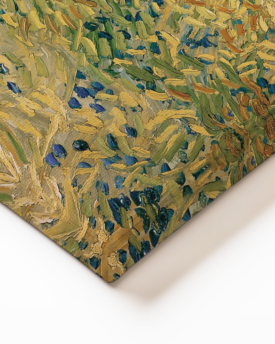 stretched-canvas
