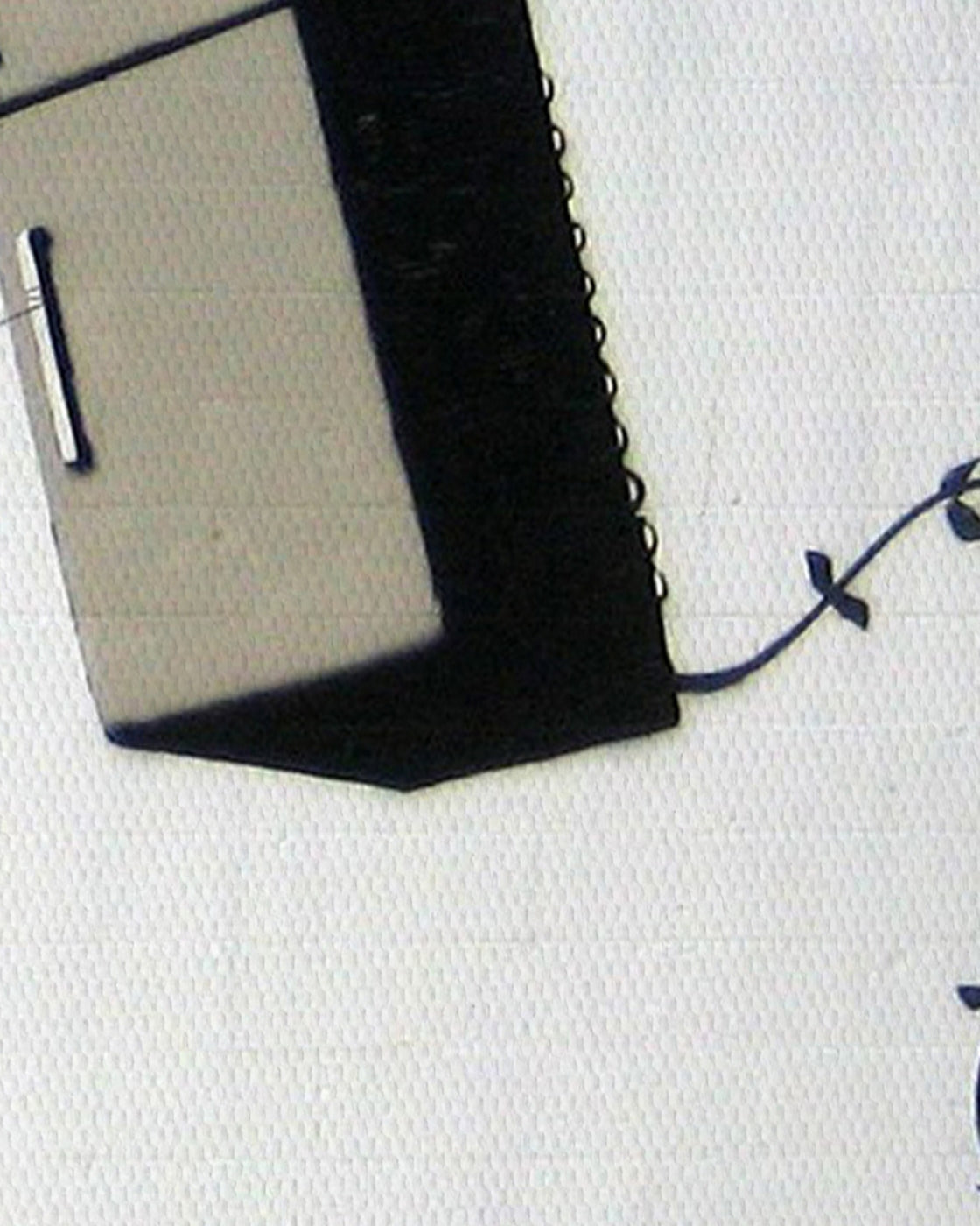 canvas