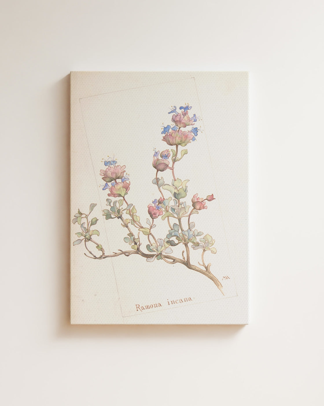 stretched-canvas