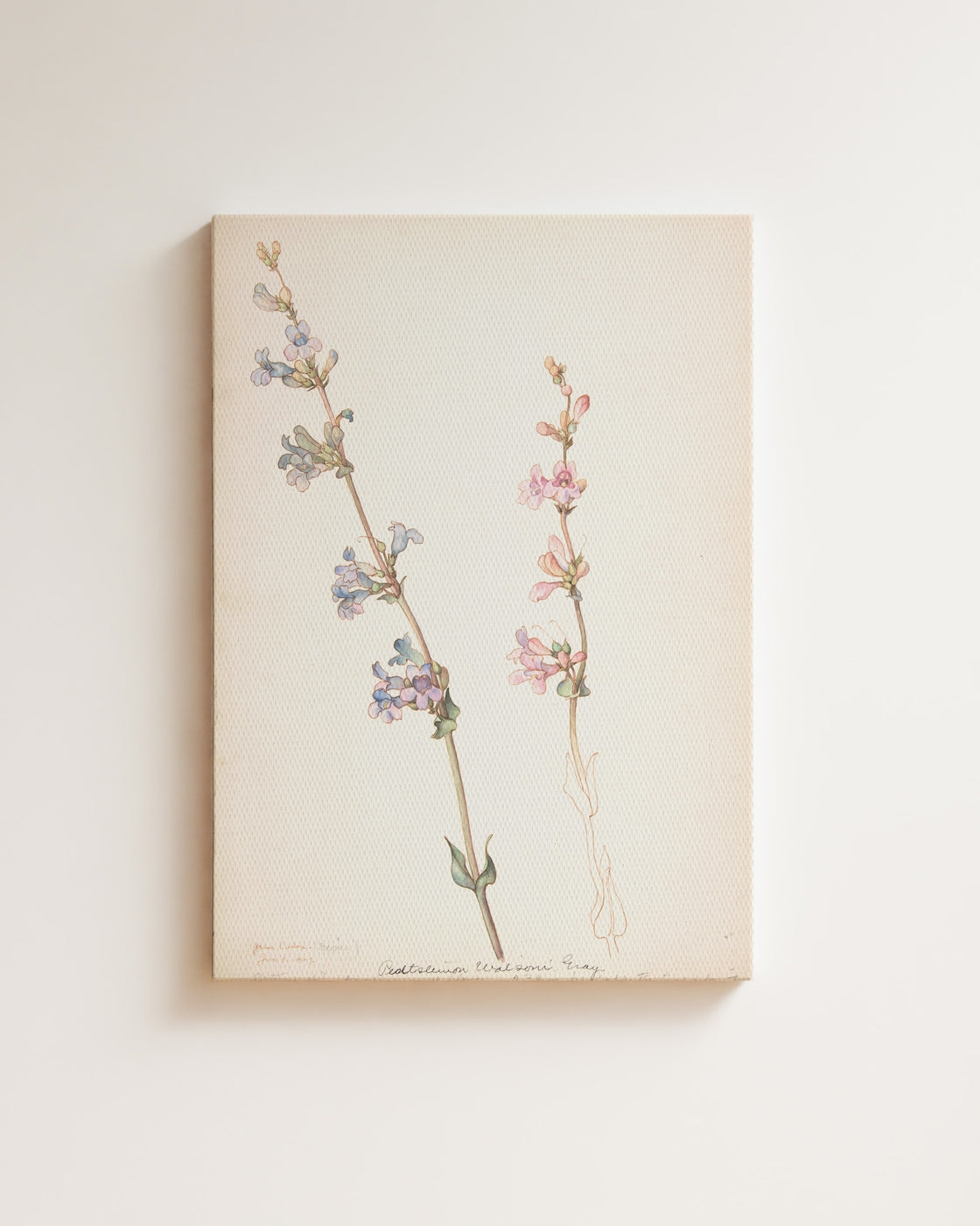 stretched-canvas