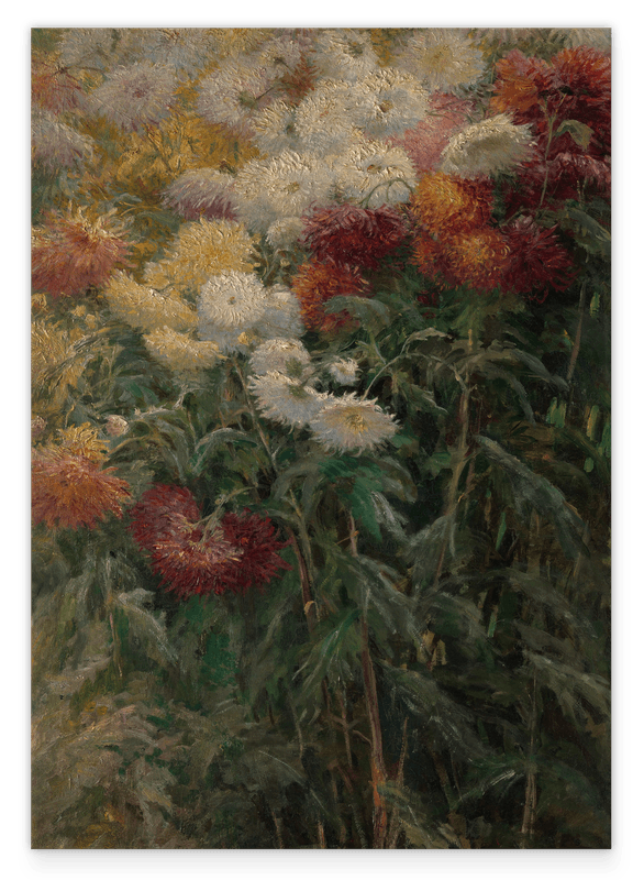 Gustave Caillebotte - Chrysanthemen im Garten bei Petit-Gennevilliers