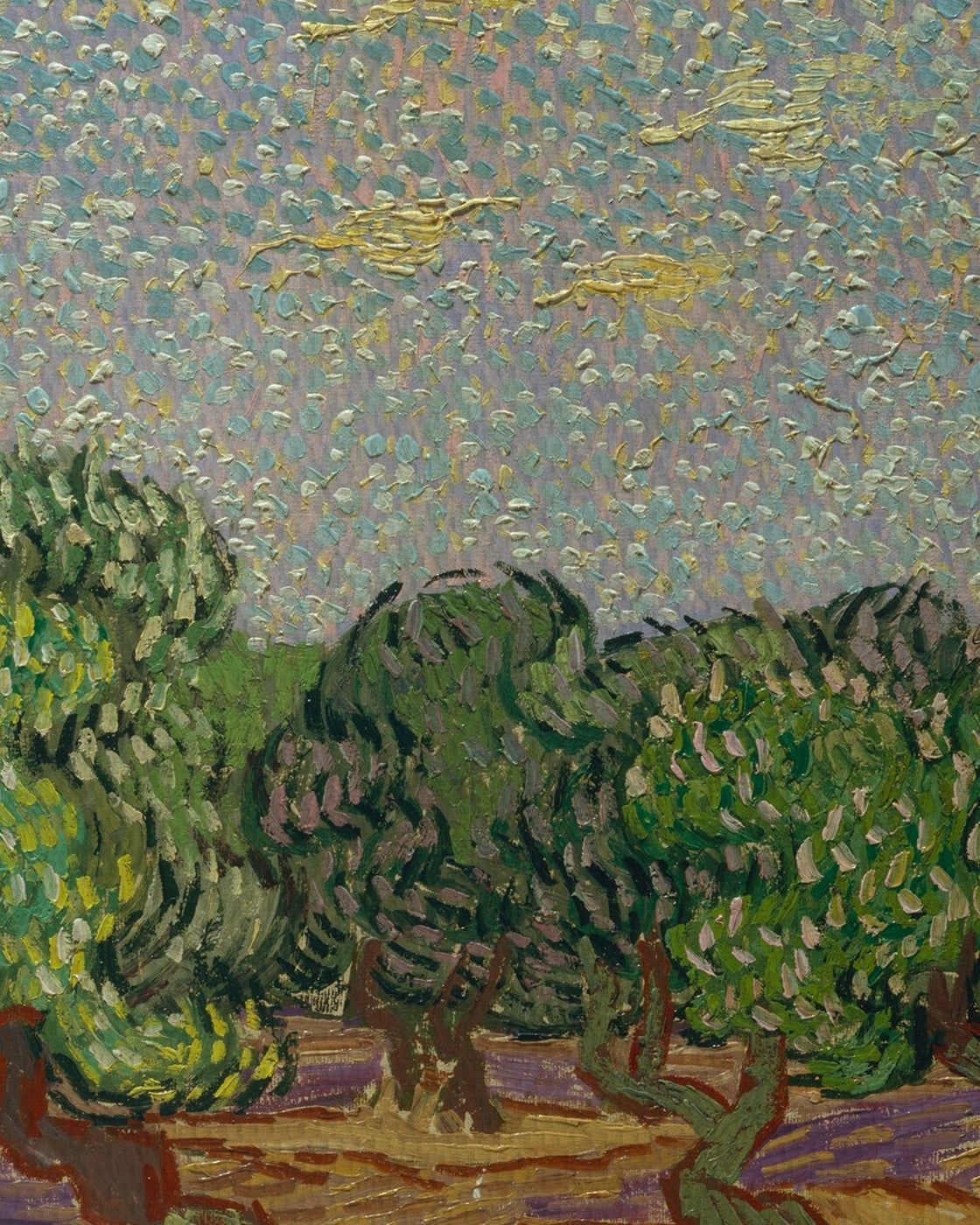 canvas