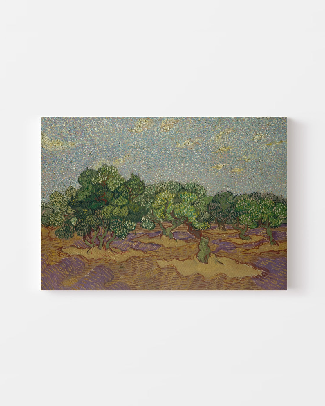 stretched-canvas