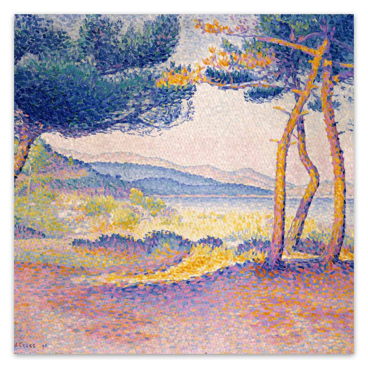 canvas
