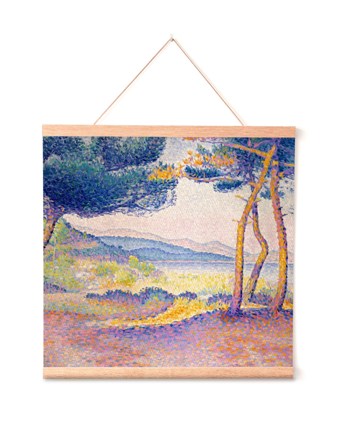 canvas