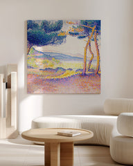 After Hover: Henri-Edmond-Kreuz - Kiefern entlang der Küste