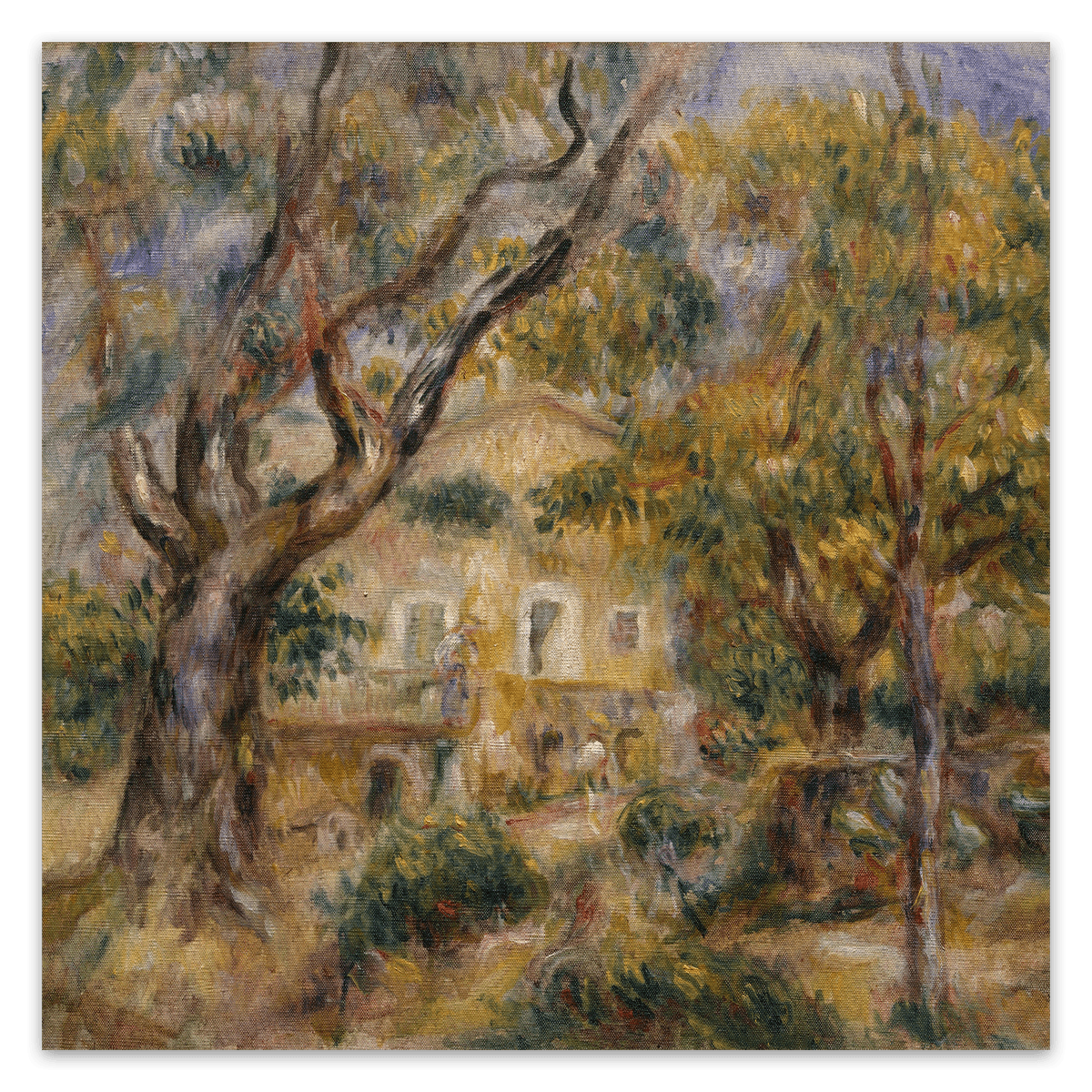 canvas