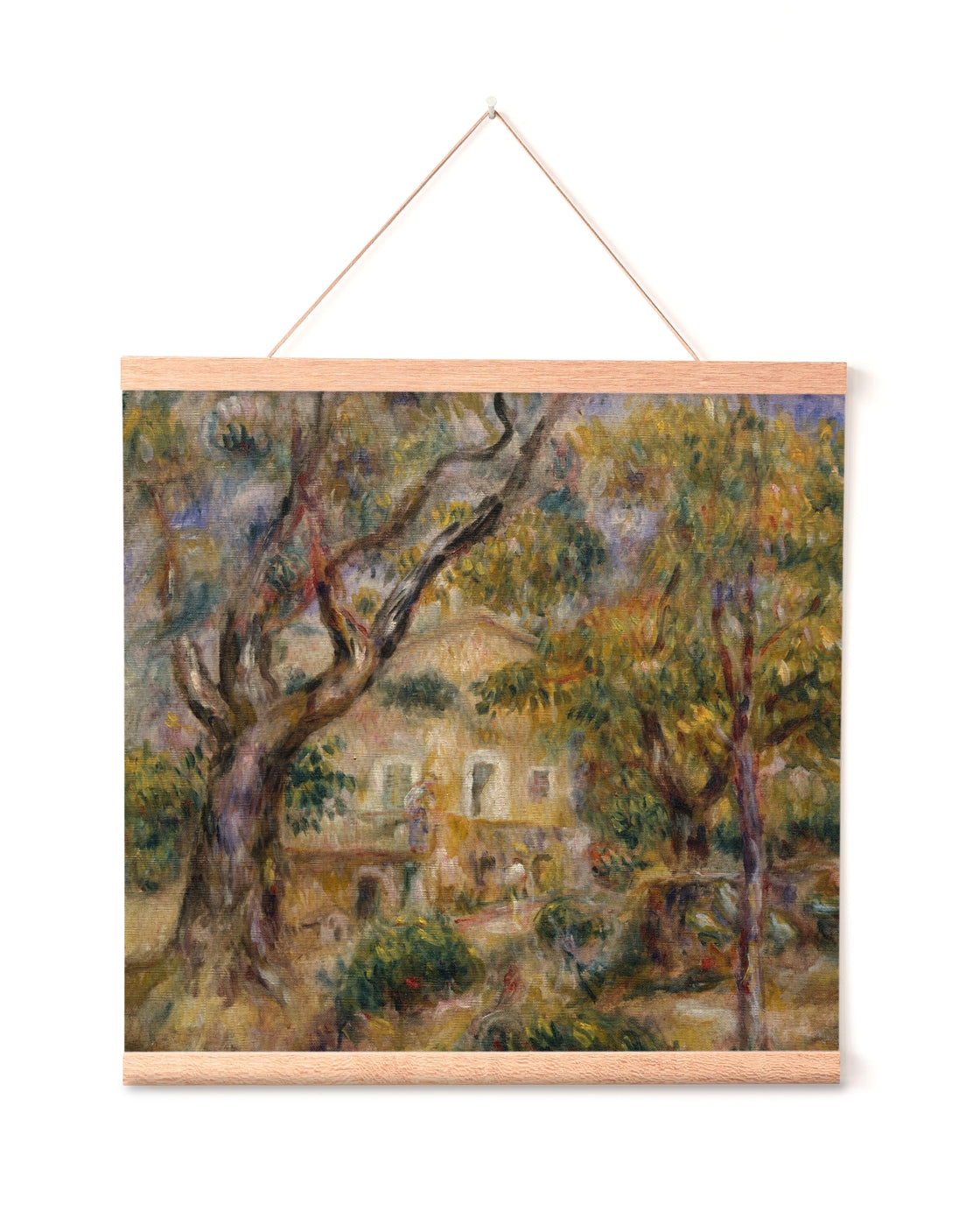 canvas