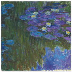 Claude Monet - Seerosen in voller Blüte