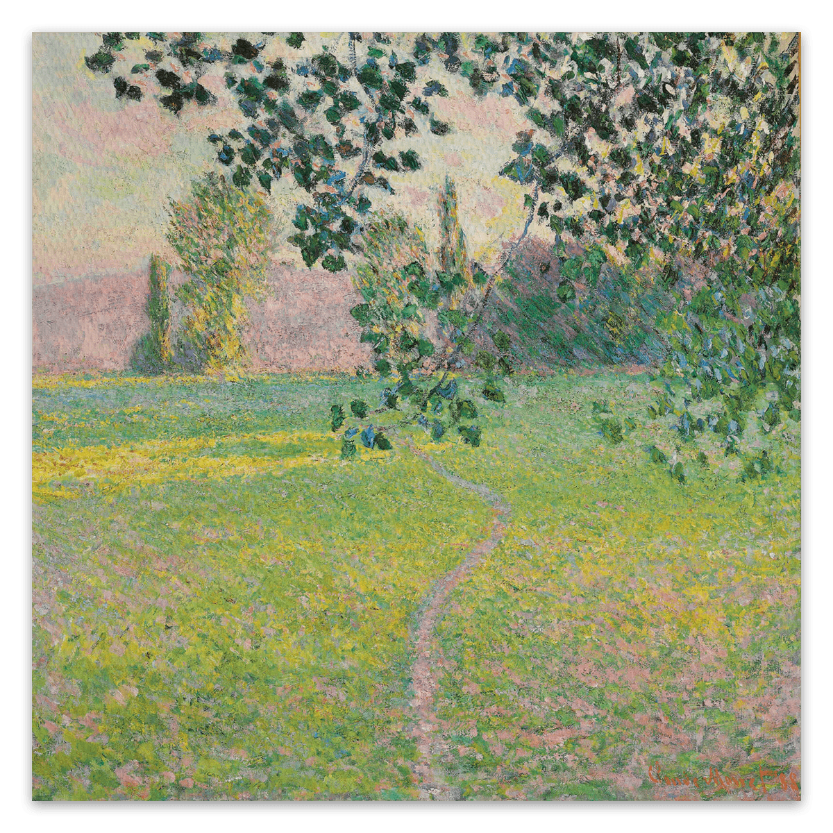 canvas