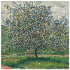 Claude Monet - Apfelbaum