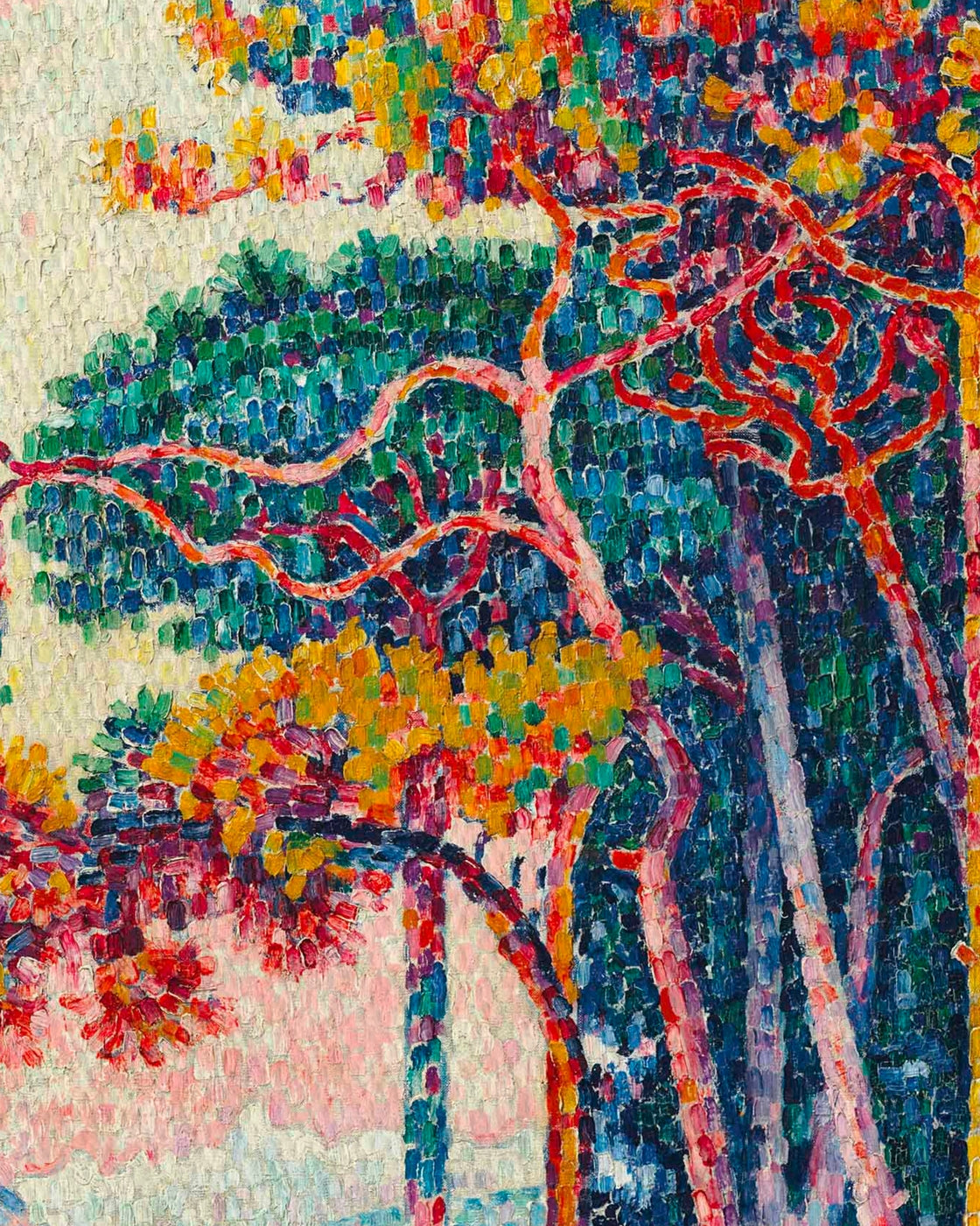 canvas
