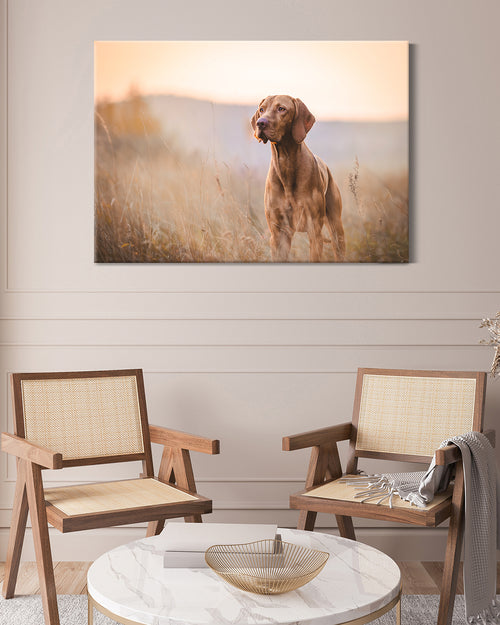 Hunde-Leinwandbild-Magyar-Vizsla-natur