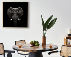 Elefant-Portrait auf schwarzem Hintergrund