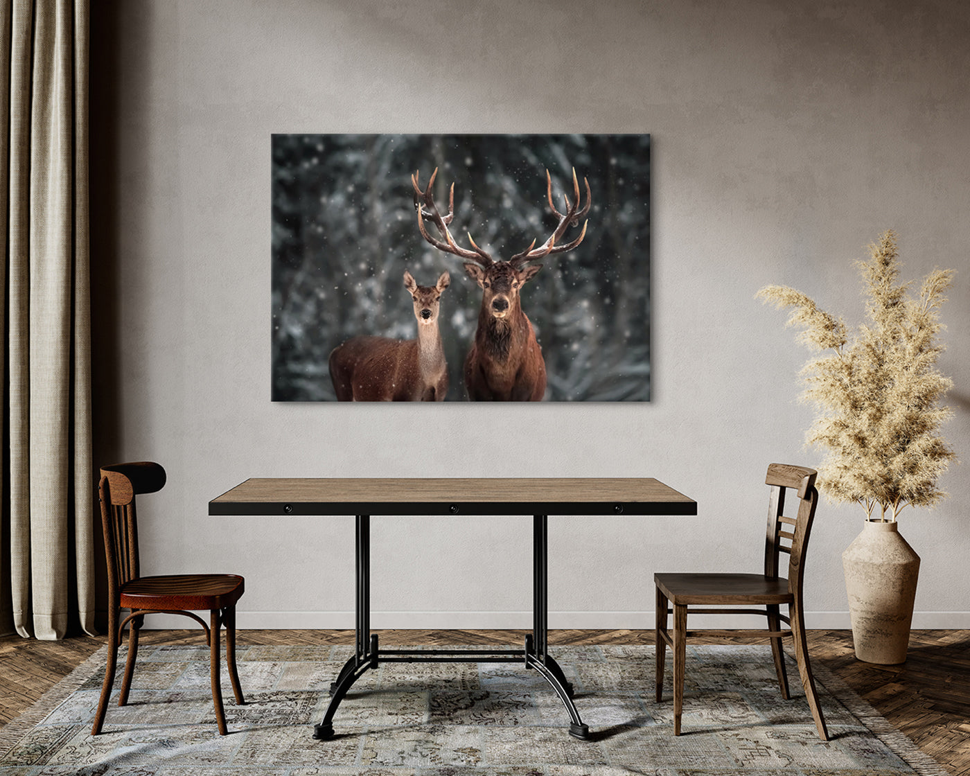stretched-canvas