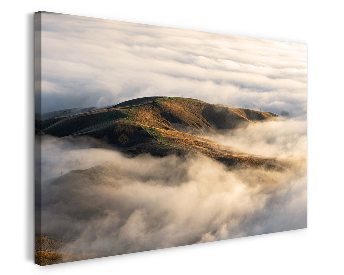 stretched-canvas