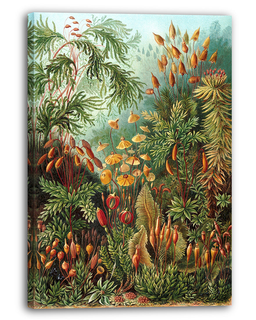 stretched-canvas