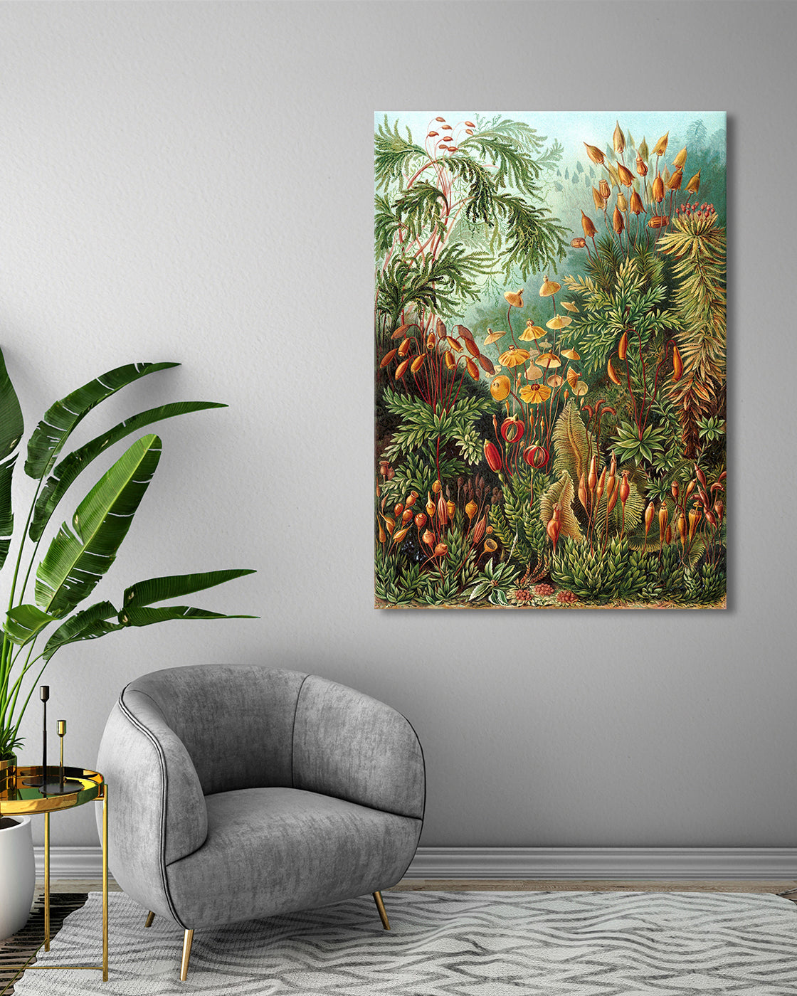 stretched-canvas