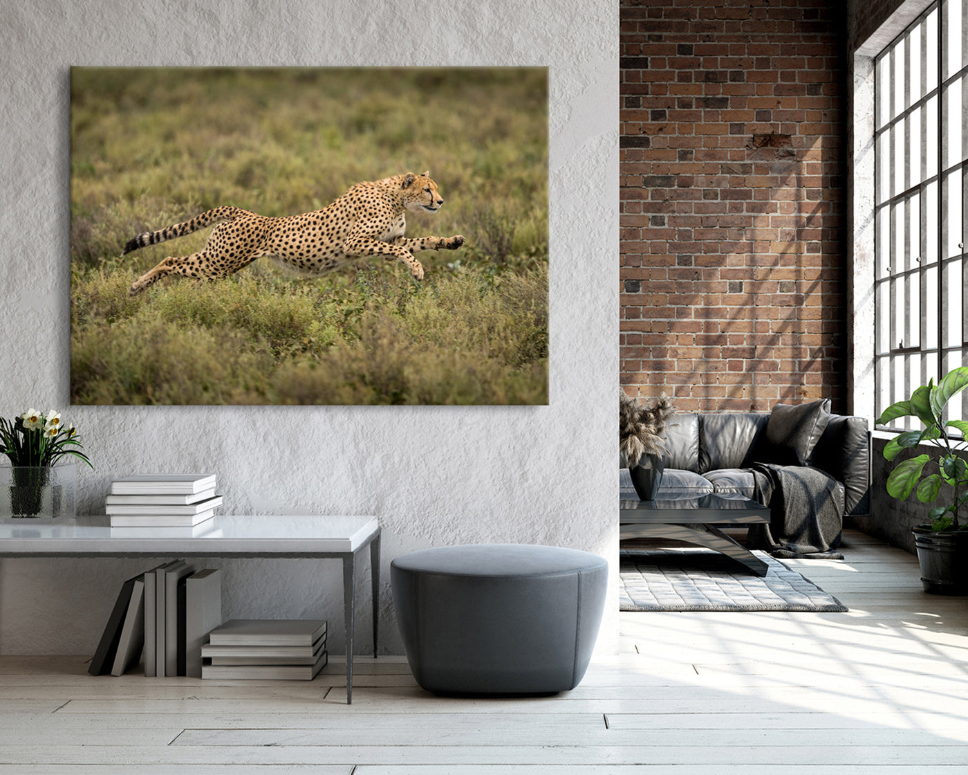 stretched-canvas
