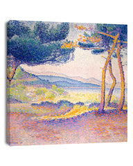 Henri-Edmond-Kreuz - Kiefern entlang der Küste