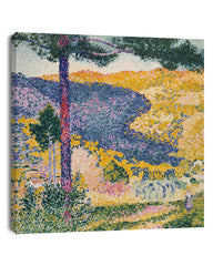 Henri-Edmond-Kreuz - Tal mit Tanne (Schatten auf dem Berg)