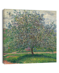 Claude Monet - Apfelbaum